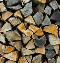 closeup view of firewood end grain