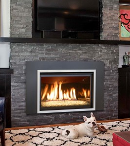 Kozy Heat Gas Fireplace with Pug laying in front