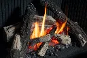 Logs + FBL-Detail.webp