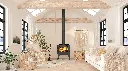 Ambiance Outlander 19 Woodstove
